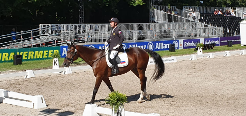 Конный спорт