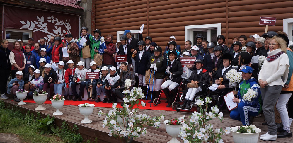 Конный спорт