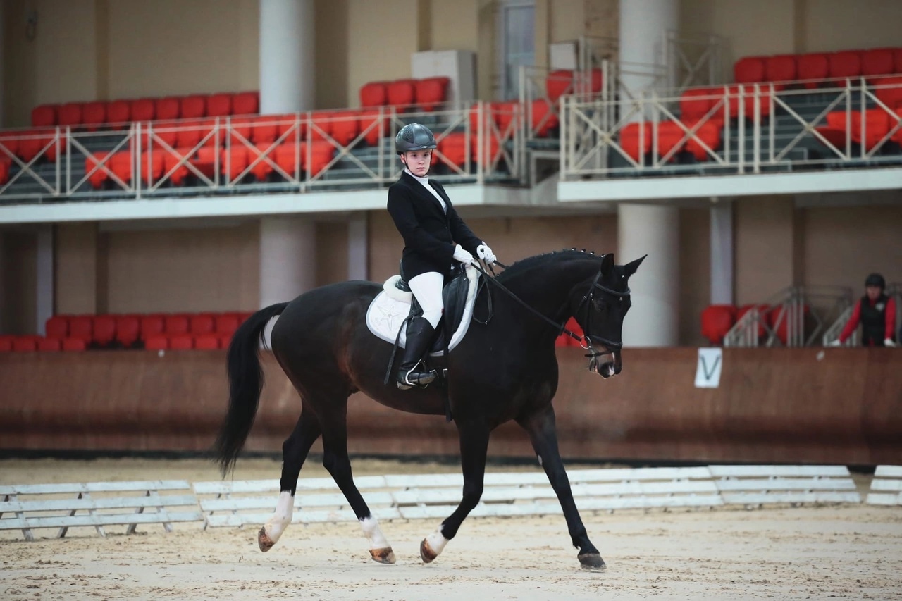 В Московской области стартовал чемпионат России по конному спорту лиц с ПОДА