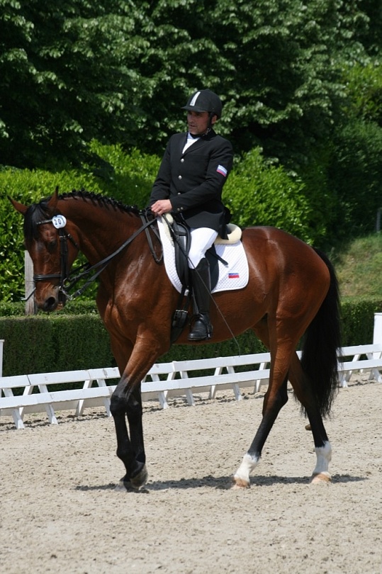 Конный спорт