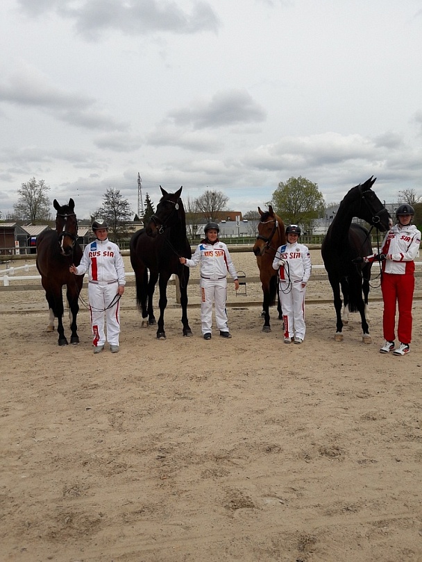 Конный спорт