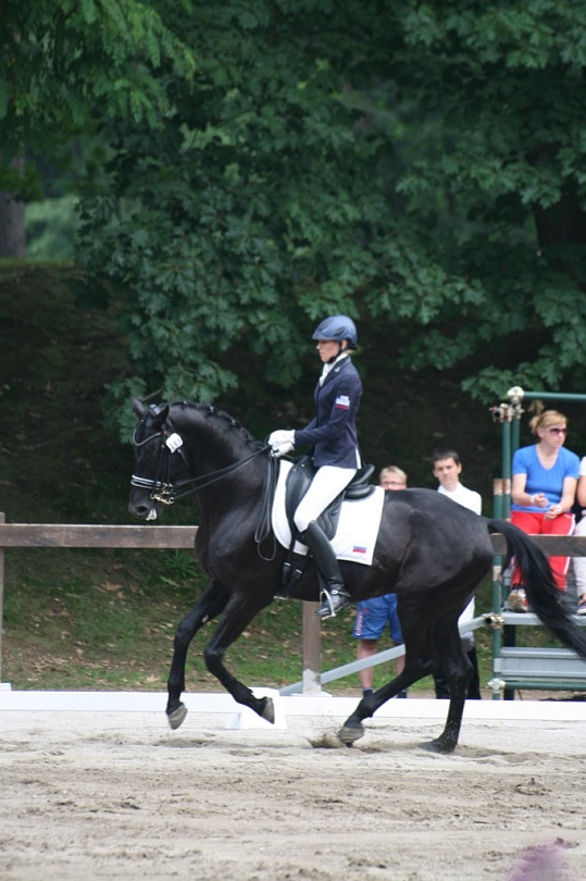 Конный спорт