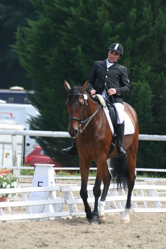 Конный спорт